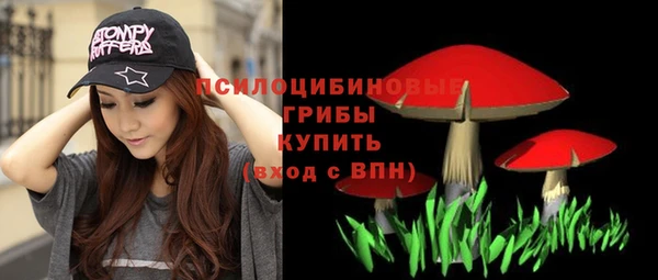 крисы Аркадак