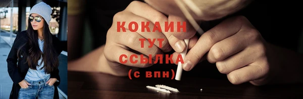 крисы Аркадак