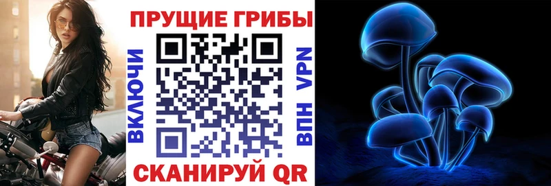 Галлюциногенные грибы Psilocybine cubensis  сколько стоит  гидра зеркало  Лахденпохья 